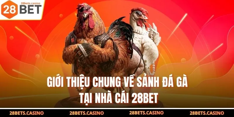 Giới thiệu chung về sảnh đá gà tại nhà cái 28BET